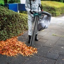Bladzuiger